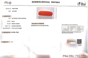 6.56/Carat Natural Cylindrical Red Coral (1800)